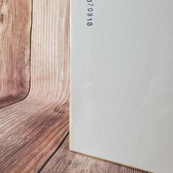 New Springbok Seashells Conchas Del Mar 1500 Pieces Jigsaw Puzzle 28.75"x36" - Picture 13 of 15